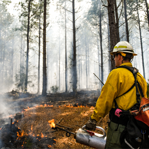 Prescribed Fire Grants 2018